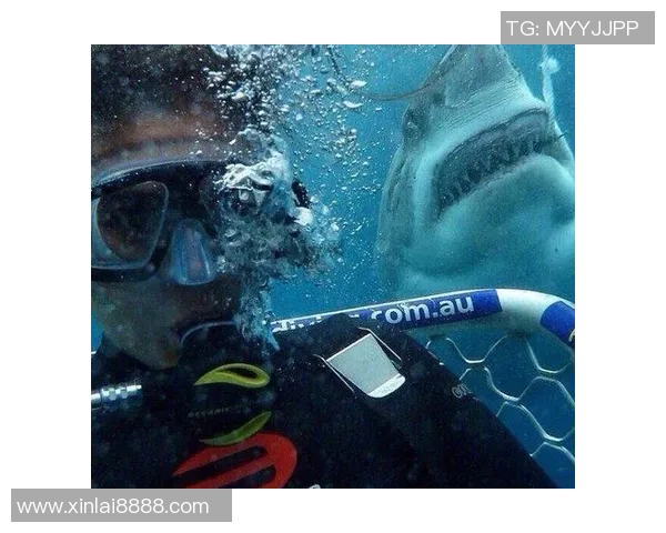 在日本街头偶遇足球明星的奇妙瞬间与精彩故事分享 在日本街头偶遇足球明星的奇妙瞬间与精彩故事分享