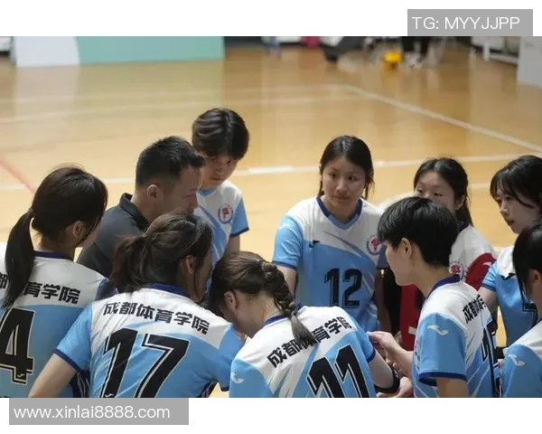 成都排球队个人能力分析与发展潜力探讨 成都排球队个人能力分析与发展潜力探讨