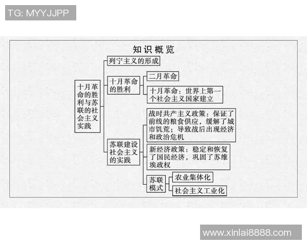 上海排球队的战术运营体系解析与实践探索 上海排球队的战术运营体系解析与实践探索